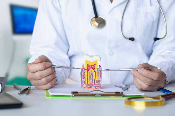 Best Emergency TMJ Treatment in Ladd, IL